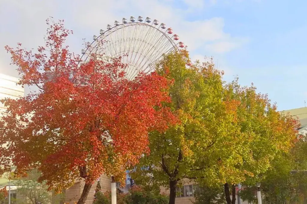 Taipei Fall Taipei Hotel Autumn Foliage Itinerary: Top 5 Leaf‑Peeping Routes From ...