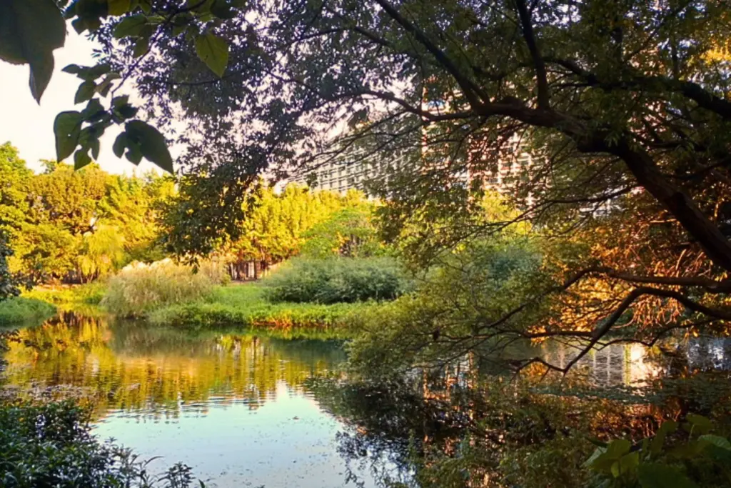 Top Taipei Hotel Autumn Foliage Itinerary: 5 Leaf‑Peeping Routes from ILLUME TAIPEI 1 Photo Credit lillianyi 的部落格