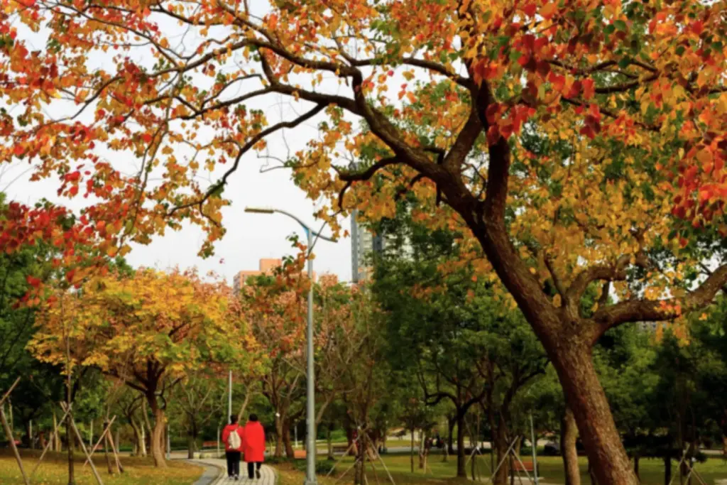 Top Taipei Hotel Autumn Foliage Itinerary: 5 Leaf‑Peeping Routes from ILLUME TAIPEI 3 Photo Credit 永安旅遊