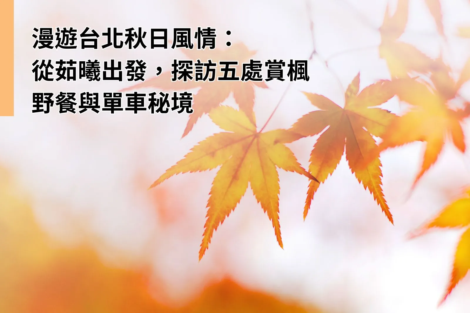 漫遊台北秋日風情：從茹曦出發，探訪五處賞楓、野餐與單車秘境