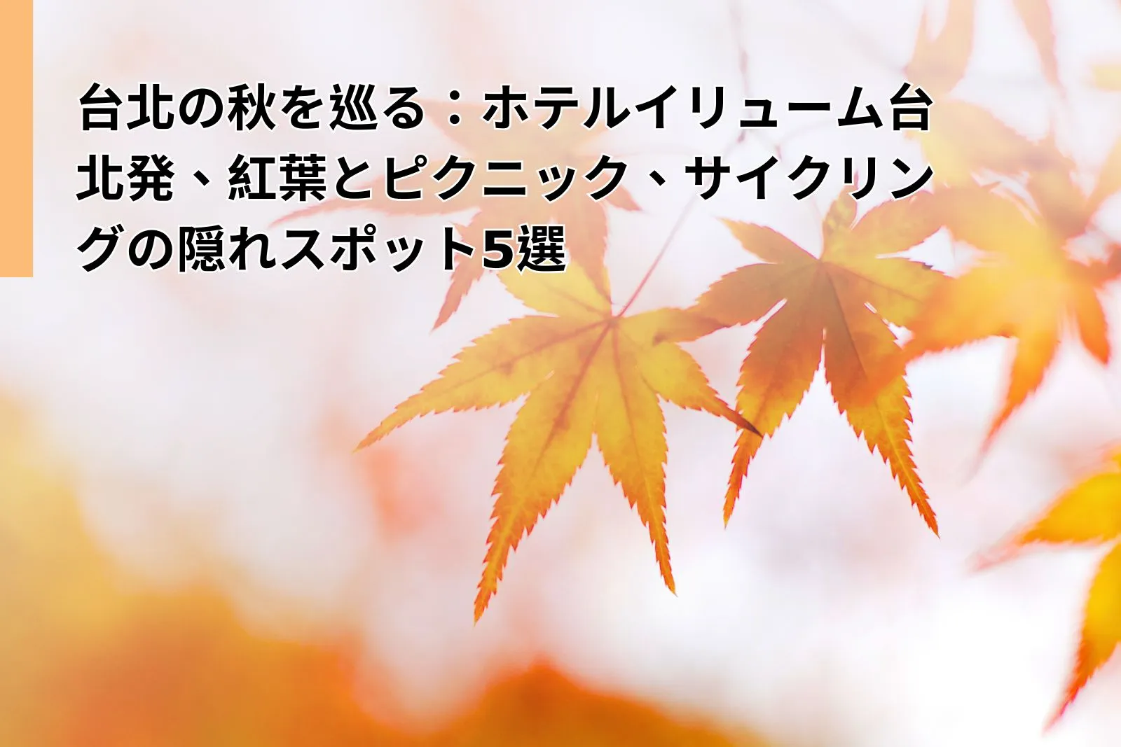 Taipei Hotel Autumn Foliage Itinerary: Top 5 Leaf‑Peeping Routes from ILLUME TAIPEI