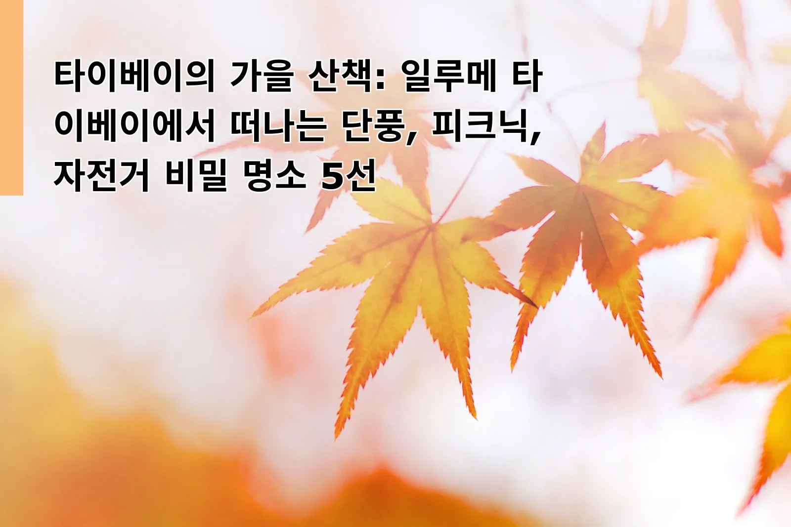 Taipei Hotel Autumn Foliage Itinerary: Top 5 Leaf‑Peeping Routes from ILLUME TAIPEI