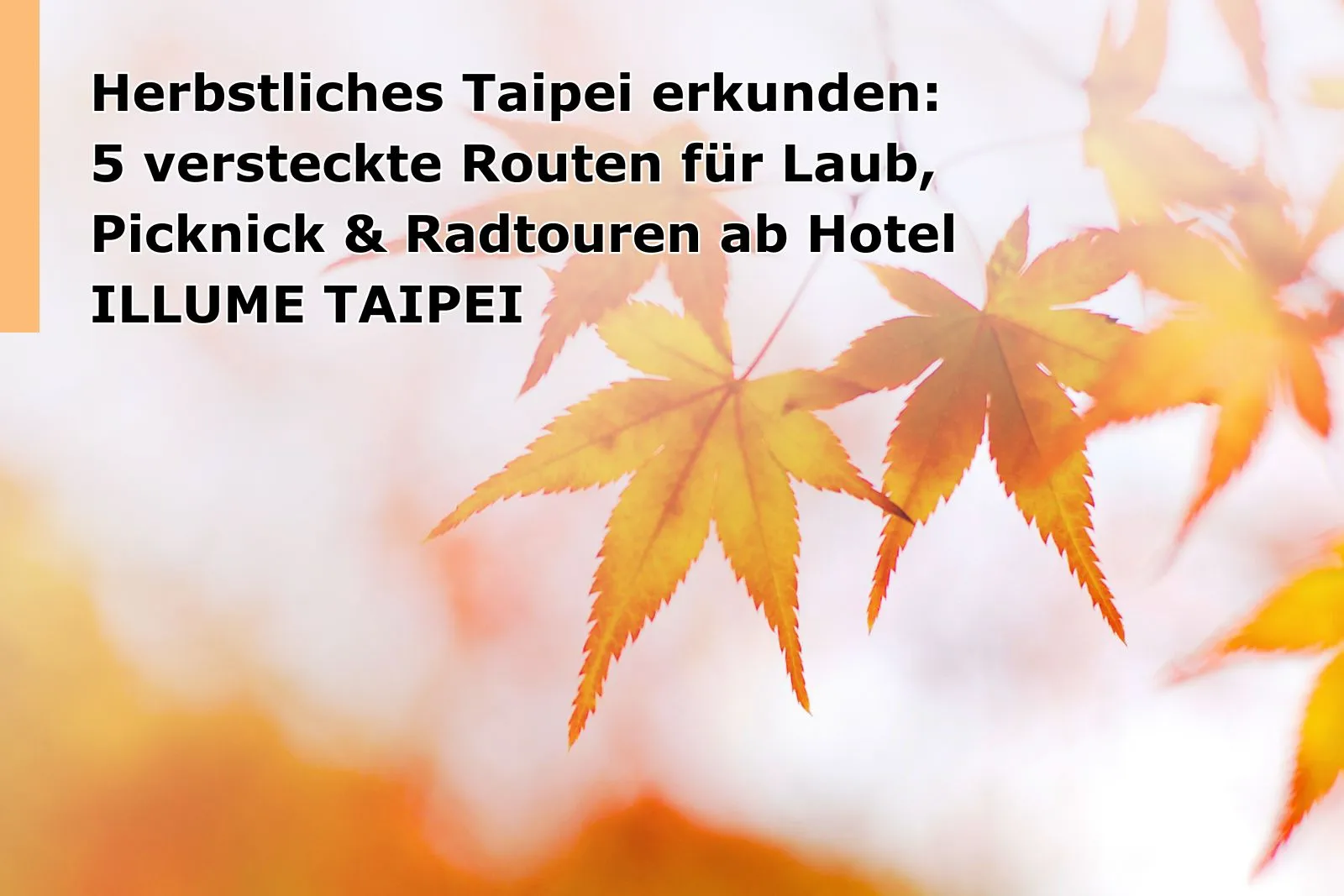 Taipei Hotel Autumn Foliage Itinerary: Top 5 Leaf‑Peeping Routes from ILLUME TAIPEI