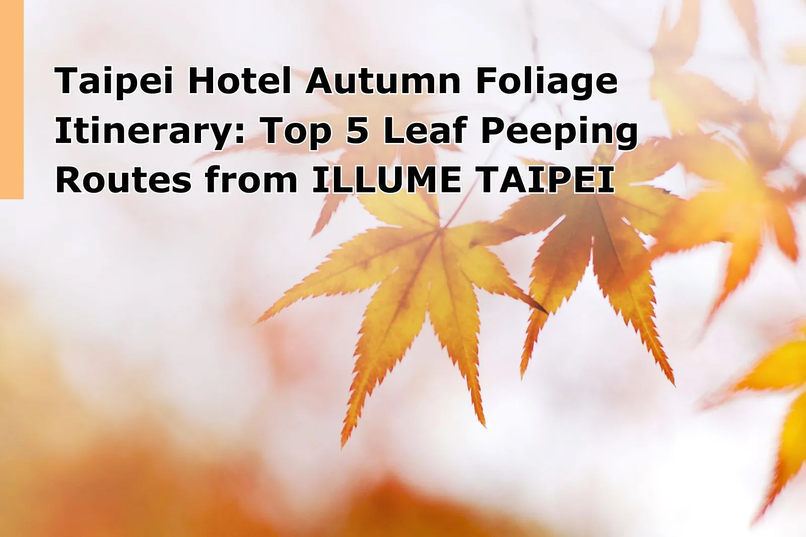 Taipei Hotel Autumn Foliage Itinerary: Top 5 Leaf‑Peeping Routes from ILLUME TAIPEI