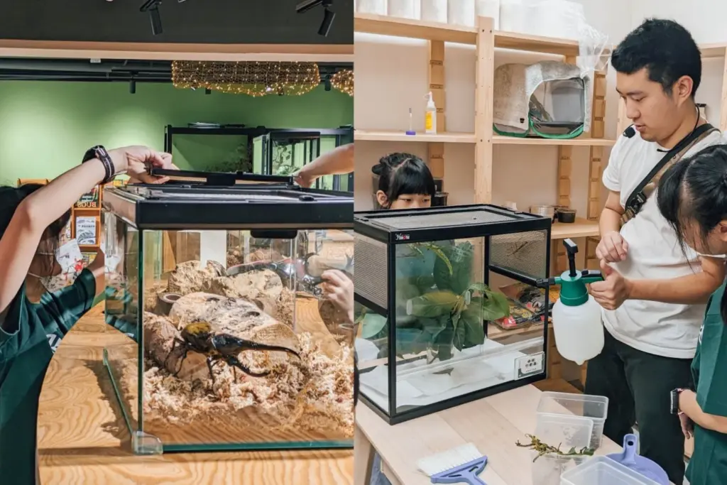 Bug's Life Insect Museum: A Natural Wonder in the City