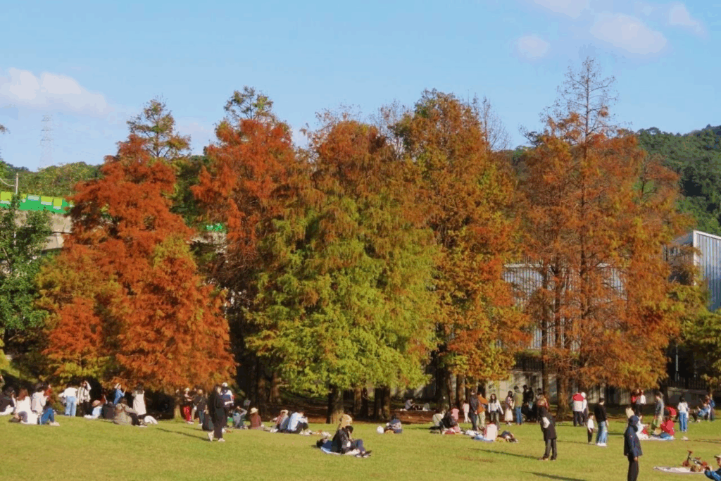 Raohe Street Night Market - The Warmth of Flavor, the Pulse of the City