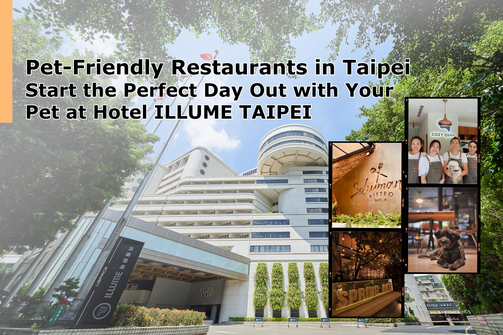 Taipei Pet-Friendly Restaurants and Cafes: Where to Go with Your Pet after Checking In